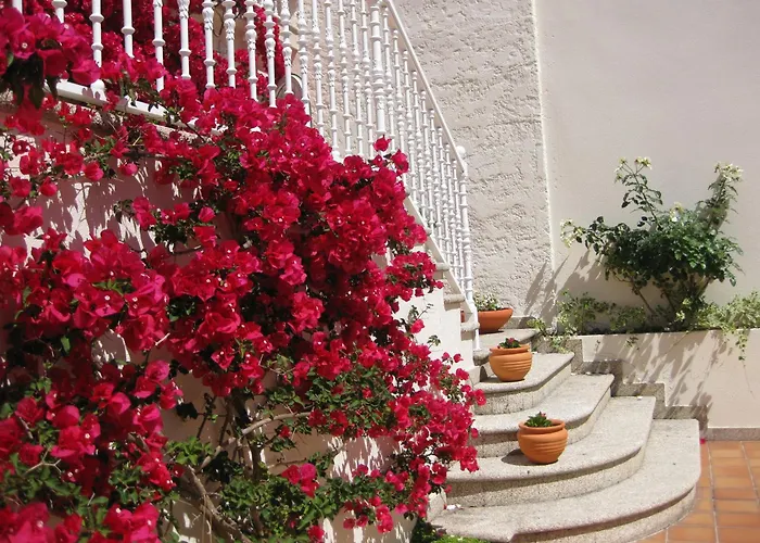 Apartamentos Maritimo Suites-Solo Adultos